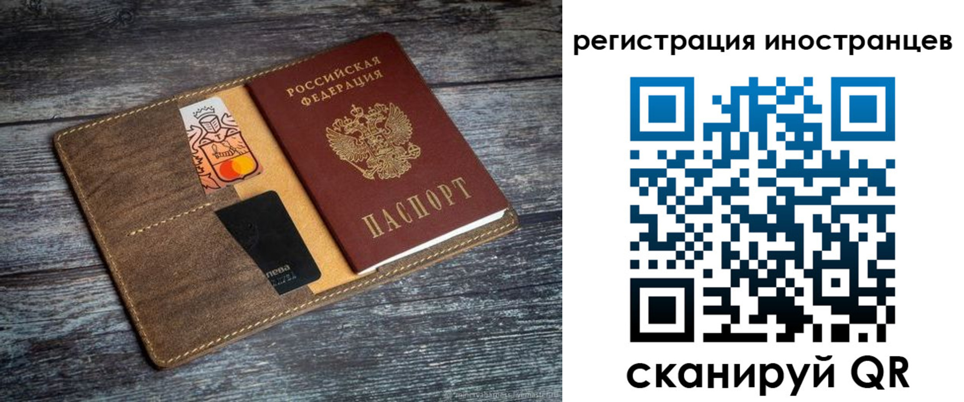где прописаться в Мурманской области